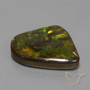 amolita Multicolor natural de 25.17 ct, Elegante, Opaco