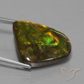 amolita Multicolor natural de 25.17 ct, Elegante, Opaco
