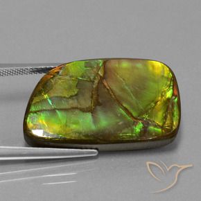amolita Multicolor natural de 21.06 ct, Elegante, Opaco