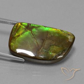 amolita Multicolor natural de 21.06 ct, Elegante, Opaco