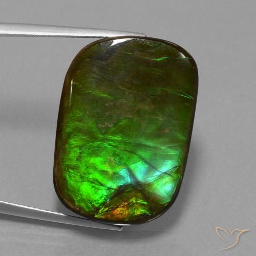 21.97ct Natural Multicolor amolita, Forma Cojín, Opaco