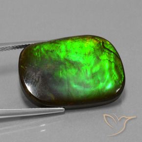 amolita Multicolor natural de 21.97 ct, Forma Cojín, Opaco