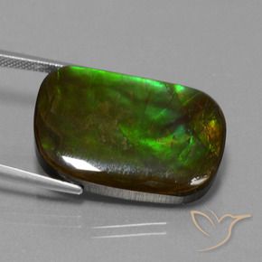 amolita Multicolor natural de 21.97 ct, Forma Cojín, Opaco