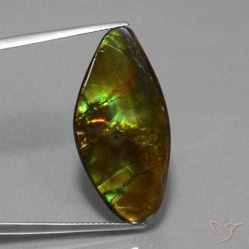19.04ct Natural Multicolor amolita, Elegante, Opaco