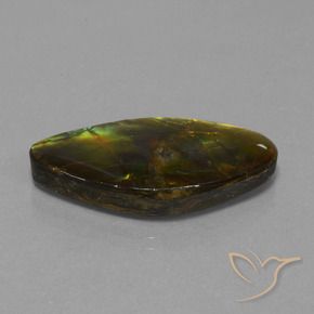 amolita Multicolor natural de 19.04 ct, Elegante, Opaco