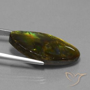 amolita Multicolor natural de 19.04 ct, Elegante, Opaco
