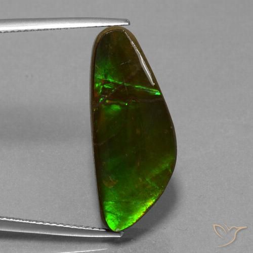 10.78ct Natural Multicolor amolita, Elegante, Opaco
