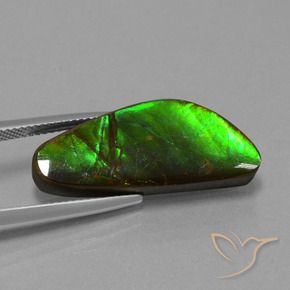 amolita Multicolor natural de 10.78 ct, Elegante, Opaco