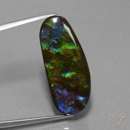 16.37ct Natural Multicolor amolita, Elegante, Opaco
