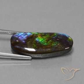 amolita Multicolor natural de 16.37 ct, Elegante, Opaco