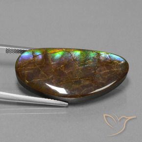 amolita Multicolor natural de 26.24 ct, Elegante, Opaco