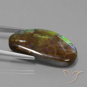 amolita Multicolor natural de 26.24 ct, Elegante, Opaco
