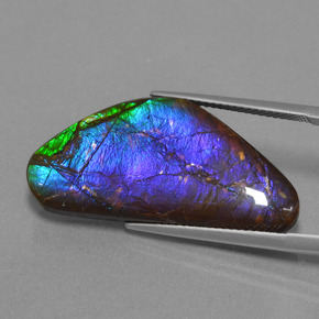 amolita Multicolor natural de 18.58 ct, Forma elegante, Opaco