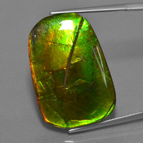 Ammolita multicolor natural de 24,17 ct, corte cojín, opaco