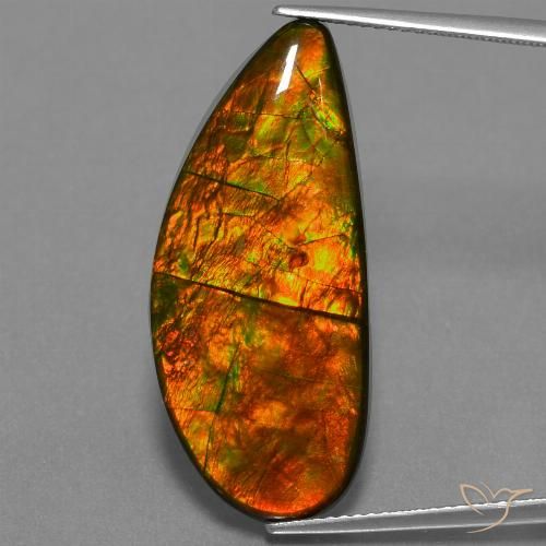 18.94ct Natural Multicolor amolita, Elegante, Opaco