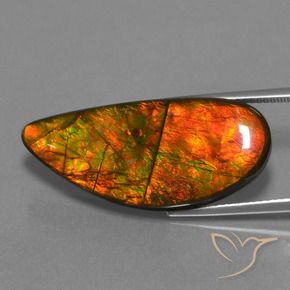amolita Multicolor natural de 18.94 ct, Elegante, Opaco