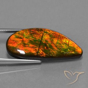amolita Multicolor natural de 18.94 ct, Elegante, Opaco