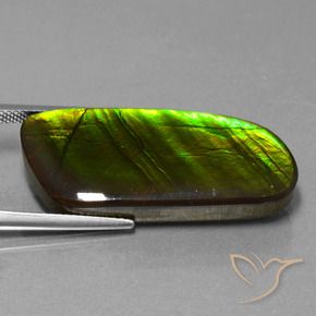amolita Multicolor natural de 25.90 ct, Elegante, Opaco