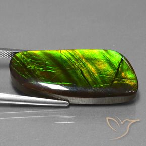 amolita Multicolor natural de 25.90 ct, Elegante, Opaco