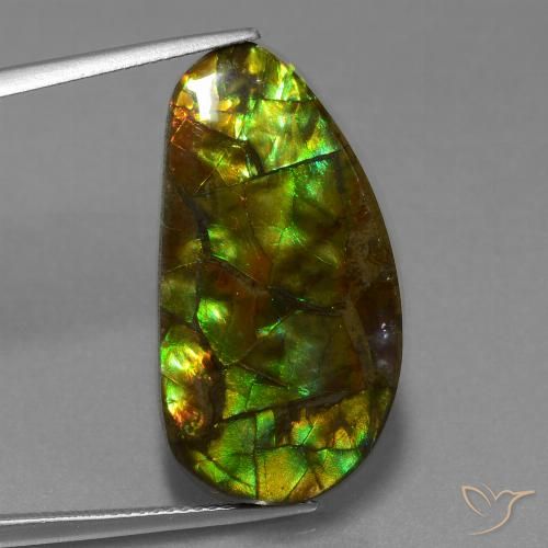 18.96ct Natural Multicolor amolita, Elegante, Opaco