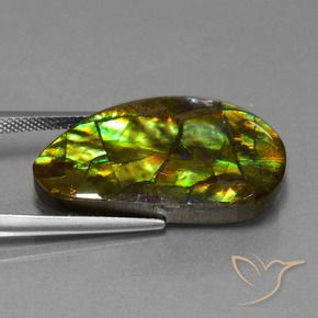 amolita Multicolor natural de 18.96 ct, Elegante, Opaco