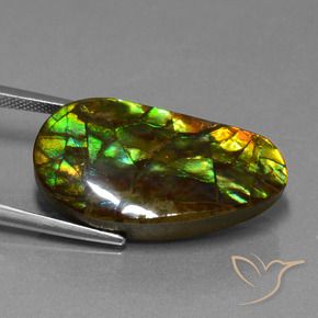 amolita Multicolor natural de 18.96 ct, Elegante, Opaco