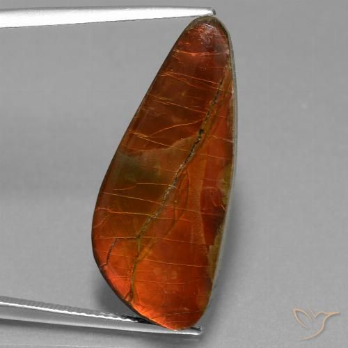 13.94ct Natural Multicolor amolita, Elegante, Opaco
