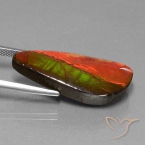 amolita Multicolor natural de 13.94 ct, Elegante, Opaco