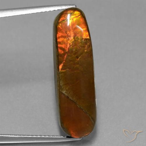 10.96ct Natural Multicolor amolita, Elegante, Opaco