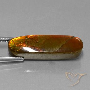 amolita Multicolor natural de 10.96 ct, Elegante, Opaco