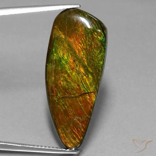 18.13ct Natural Multicolor amolita, Elegante, Opaco