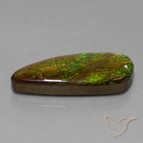 amolita Multicolor natural de 18.13 ct, Elegante, Opaco