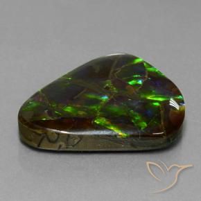 amolita Multicolor natural de 21.05 ct, Trillón, Opaco
