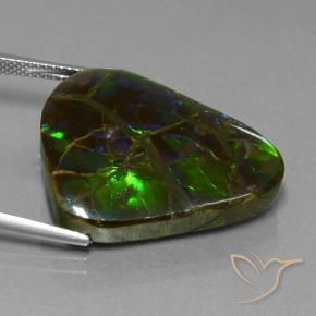 amolita Multicolor natural de 21.05 ct, Trillón, Opaco