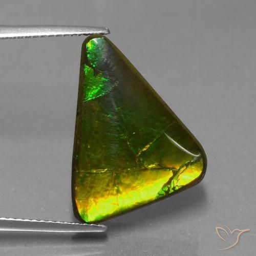 Ammolita multicolor natural de 11,34 ct, trillón, opaco