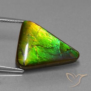 Ammolita multicolor natural de 11,34 ct, trillón, opaco