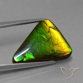 Ammolita multicolor natural de 11,34 ct, trillón, opaco