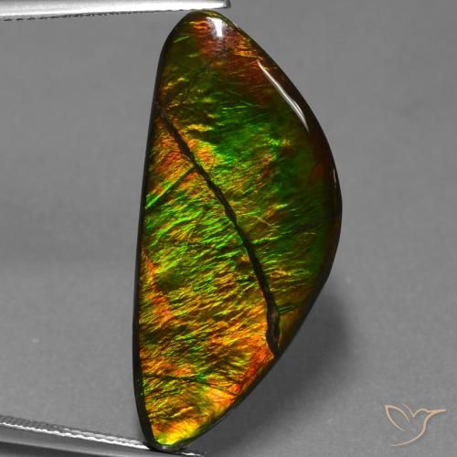 19.31ct Natural Multicolor amolita, Elegante, Opaco