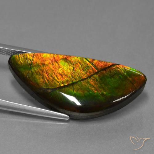 amolita Multicolor natural de 19.31 ct, Elegante, Opaco