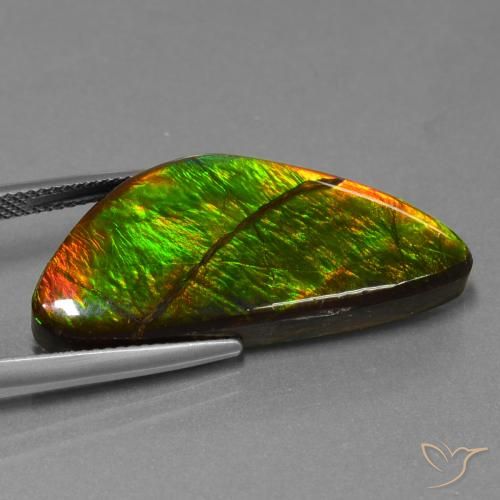 amolita Multicolor natural de 19.31 ct, Elegante, Opaco