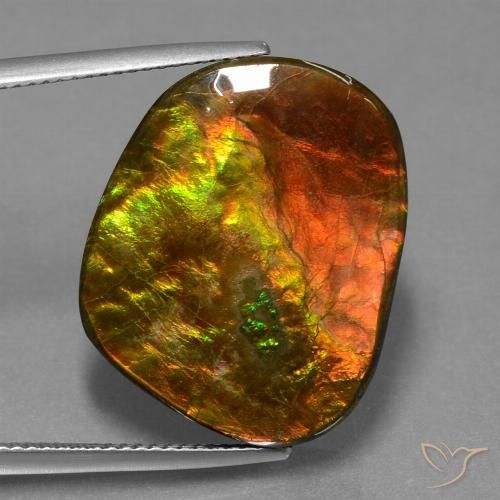20.65ct Natural Multicolor amolita, Elegante, Opaco