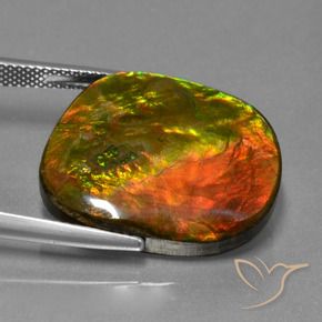 amolita Multicolor natural de 20.65 ct, Elegante, Opaco