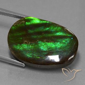 amolita Multicolor natural de 16.23 ct, Elegante, Opaco