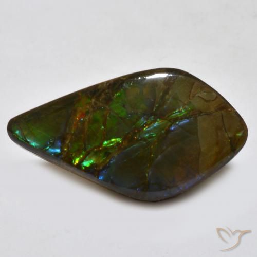 amolita Multicolor natural de 18.15 ct, Elegante, Opaco