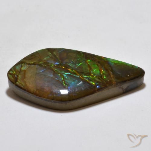 amolita Multicolor natural de 18.15 ct, Elegante, Opaco