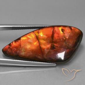 amolita Multicolor natural de 23.09 ct, Elegante, Opaco