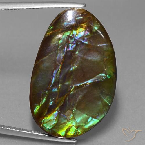 27.74ct Natural Multicolor amolita, Elegante, Opaco