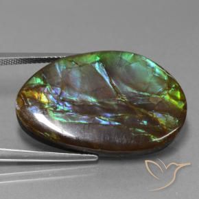 amolita Multicolor natural de 27.74 ct, Elegante, Opaco