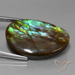 amolita Multicolor natural de 27.74 ct, Elegante, Opaco