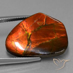 amolita Multicolor natural de 15.20 ct, Elegante, Opaco